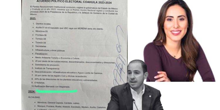 Senadora Cecilia Guadiana denuncia negociación de magistratura por parte del PAN