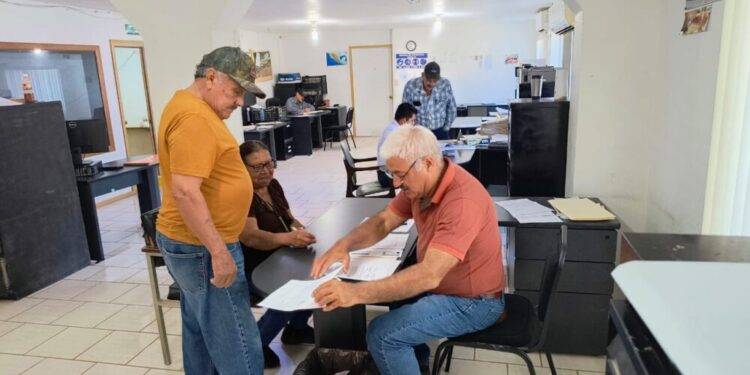 Amplían ventanillas para apoyo de sorgo, trigo y diésel