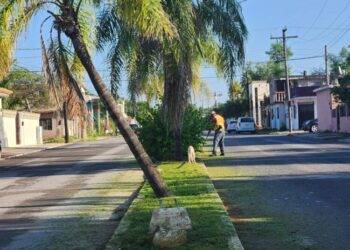 Continúan labores de limpieza por parte de servicios públicos primarios.