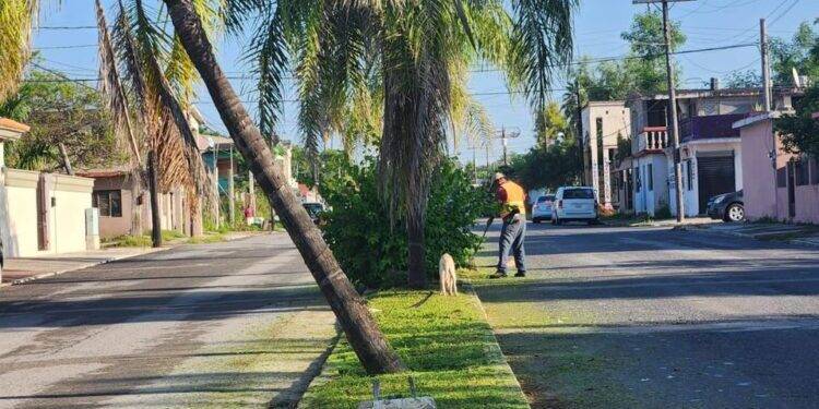 Continúan labores de limpieza por parte de servicios públicos primarios.