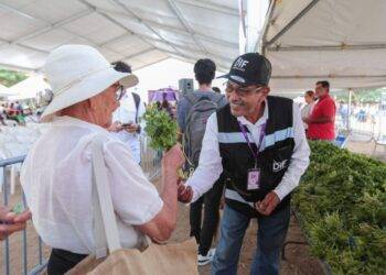DIF Tamaulipas realiza más de 50 millones de acciones alimentarias para quienes más lo necesitan