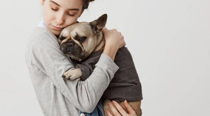 Congreso exige cumplimiento en protección y trato digno a los animales