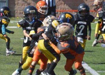 ¡Poder Felino! Pumas rugen fuerte y aseguran su lugar en las finales