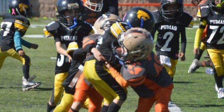 ¡Poder Felino! Pumas rugen fuerte y aseguran su lugar en las finales