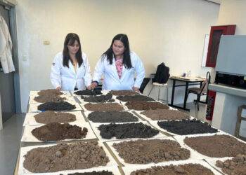 Analiza estudiante de la UAT la presencia de metales pesados en suelos de cultivo citrícola