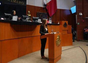 Cecilia Guadiana exige seguridad y dignidad para las mujeres desde el Senado
