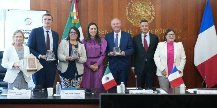 Cecilia Guadiana participa en reunión con senadores del Grupo de Amistad Francia-México-Países de Centroamérica