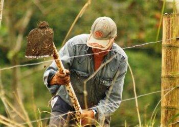 Sader anuncia pago a productores del programa Producción para el Bienestar
