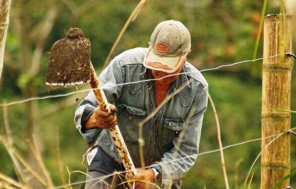 Sader anuncia pago a productores del programa Producción para el Bienestar