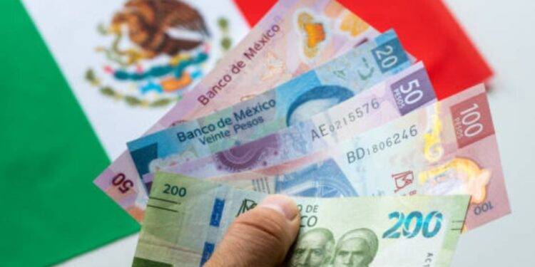 Salario mínimo aumentará el 1 de enero de 2025: ¿quiénes serán los primeros beneficiarios?