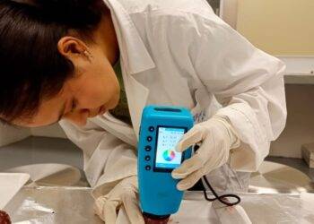 Analizan potencial antioxidante de la cáscara de pitaya