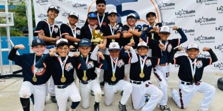 Los Potros brillan en 2024: un año de éxitos y campeonatos