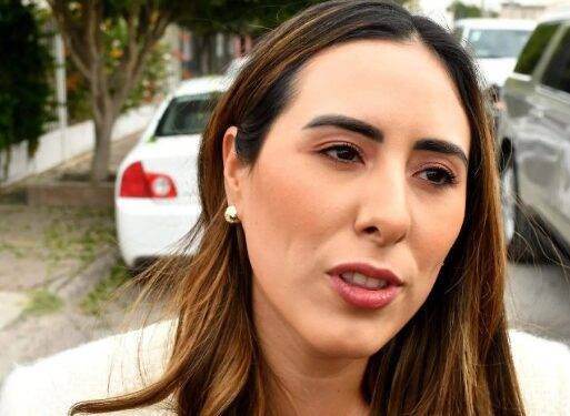 Cecilia Guadiana: No más reelección de diputados y senadores en México