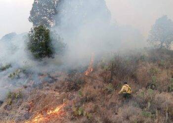 Riesgo extremo de incendios en Sierra de Arteaga: autoridades advierten sobre fogatas y quema de basura
