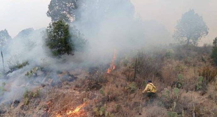 Riesgo extremo de incendios en Sierra de Arteaga: autoridades advierten sobre fogatas y quema de basura