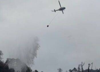 Tragedia en Nuevo León: Vuelca camioneta y deja 12 muertos