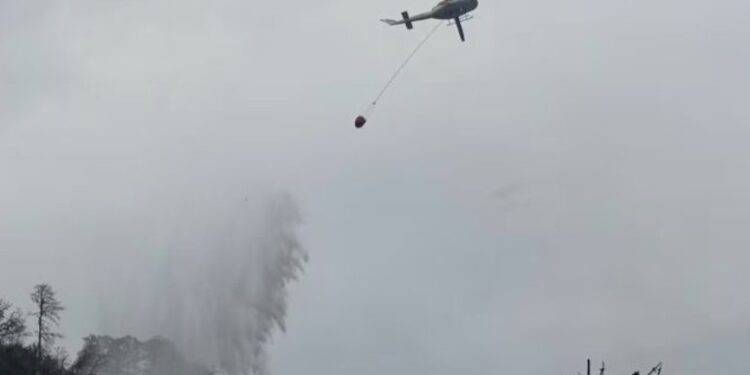 Tragedia en Nuevo León: Vuelca camioneta y deja 12 muertos