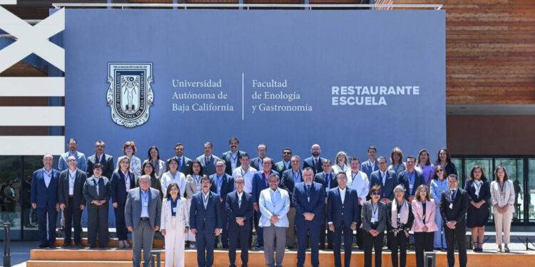 Nombran a Dámaso Anaya vicepresidente de la sesión nacional del CUPIA