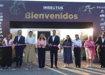 Inauguran la exposición ‘Insectus: Ciencia, Arte y Cultura’