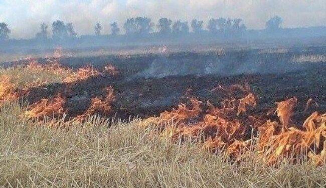 Reiteran el riesgo que implica realizar quemas agrícolas