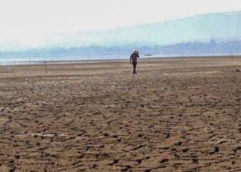 Afecta la sequía a más del 60% del territorio mexicano