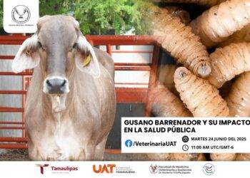 Dará la UAT conferencias sobre gusano barrenador y su impacto en la salud pública