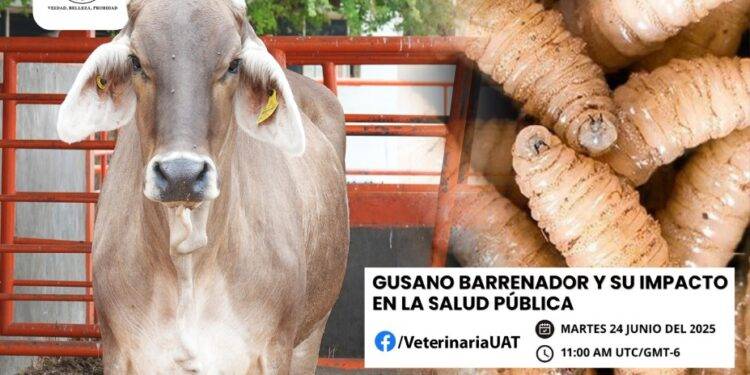 Dará la UAT conferencias sobre gusano barrenador y su impacto en la salud pública