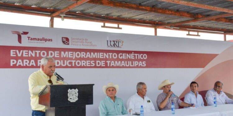 Impulsa Tamaulipas sector ganadero con Programa de Mejoramiento Genético