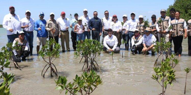 Transforman litoral tamaulipeco con acciones que protegen y educan