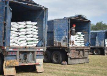 Abren ventanillas para el programa de fertilizante a citricultores