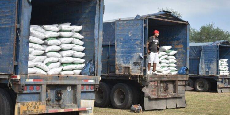 Abren ventanillas para el programa de fertilizante a citricultores