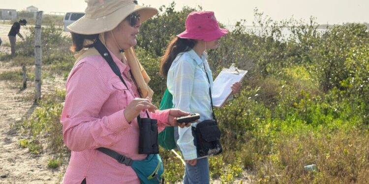 Colabora la UAT en la conservación del mangle en el litoral tamaulipeco