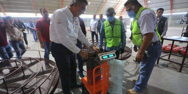 Iniciará operaciones empacadora de carbón vegetal “El Bernal”