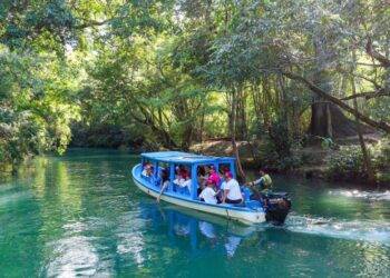 Realizan DIF Tamaulipas y Secretaría de Turismo el Encuentro de Mujeres Círculo Violeta 2025