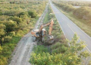 El Gobierno Municipal lleva a cabo labores de retiro de arbustos que obstruyen la visibilidad de los automovilistas