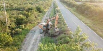 El Gobierno Municipal lleva a cabo labores de retiro de arbustos que obstruyen la visibilidad de los automovilistas