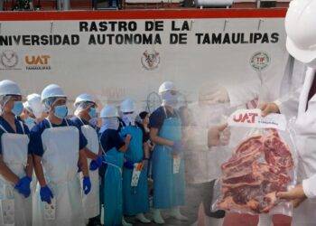 Rastro TIF de la UAT producirá carne para el mercado internacional