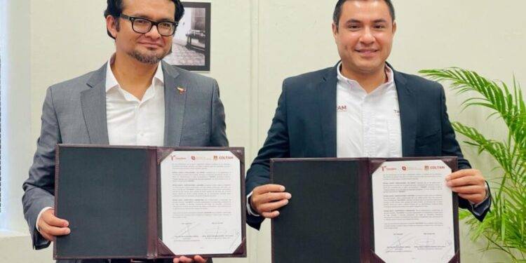 Impulsan innovación y talento en sector energético con alianza COLTAM–SDE