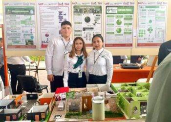 Innovación UAT: Crean panel de bagazo de caña para construcción