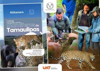 Difunde la UAT catálogo fotográfico de los mamíferos de Tamaulipas