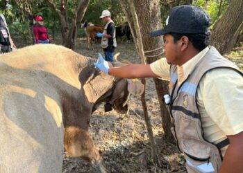 Acción inmediata y coordinación interinstitucional ante caso de GBG en Tamaulipas
