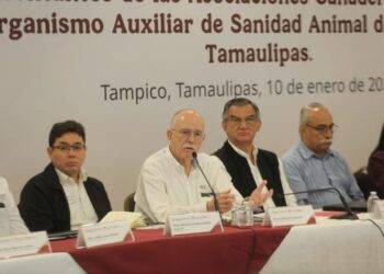 Tamaulipas refuerza acciones contra el gusano barrenador; no se cerrará comercialización del ganado: Berdegué Sacristán