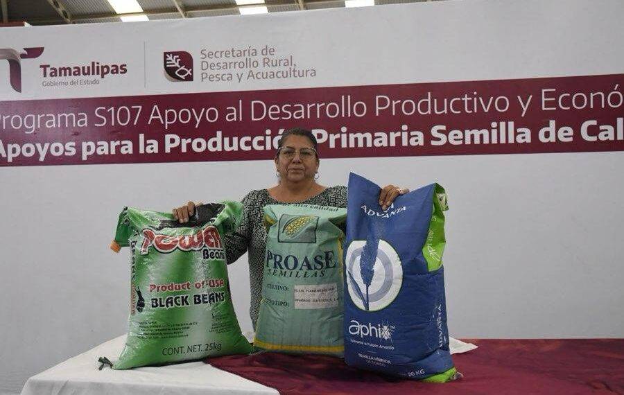 Productores podrán acceder a apoyos de semilla para cultivos estratégicos