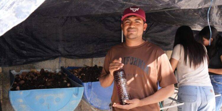 Desarrolla la UAT biofertilizantes líquidos a partir de lombricomposta