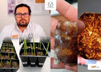 Patenta la UAT bioplásticos que recuperan suelos erosionados