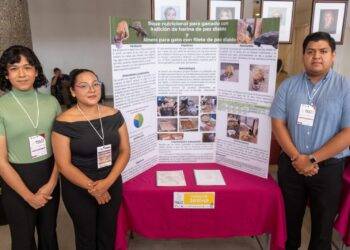 Estudiantes de la UAT transforman plaga en alimento animal de alto valor nutricional