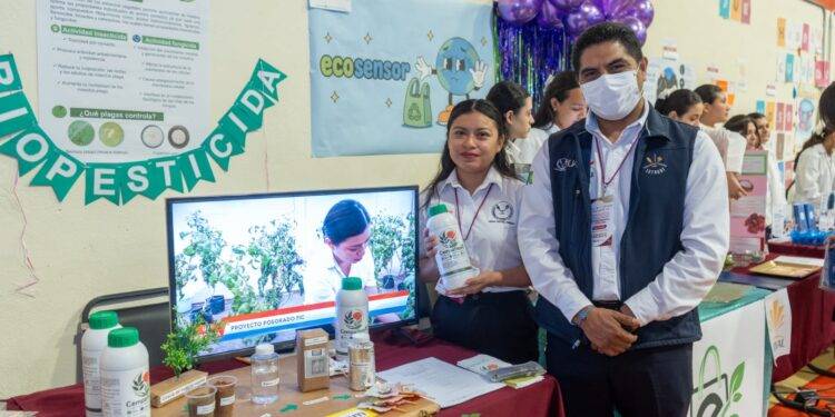 Desarrolla alumna de la UAT biopesticida que elimina plagas agrícolas