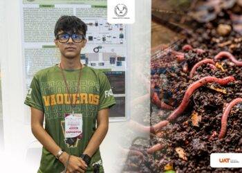 Estudiante de la UAT desarrolla prototipo con IA para optimizar la lombricultura a bajo costo
