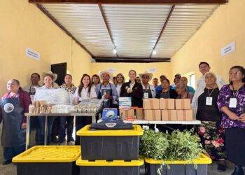 La UAT consolida proyecto de aprovechamiento del laurel para el emprendimiento rural