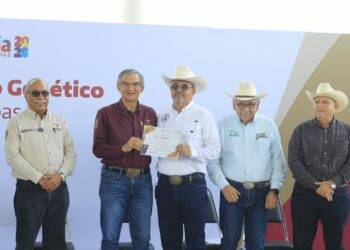 En Tamaulipas se han destinado 545 MDP en apoyos al sector ganadero:  Américo
